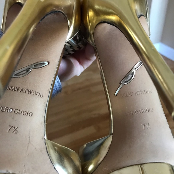 BRIAN ATWOOD - Picture 8 of 8